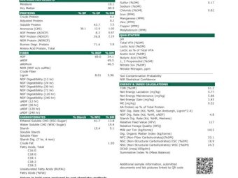 250MT Wheaten Hay 600Kg 8X4X3 Bales