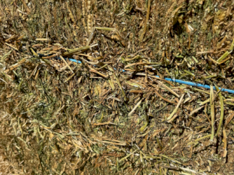 Vetch Hay 630kg 8x4x3 Bales