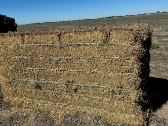 Vetch Hay 630kg 8x4x3 Bales