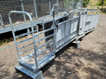 Hecton Sheep Handler with 3 way draft