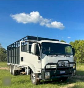 WANTED Livestock Truck, Bogie drive Tray Truck