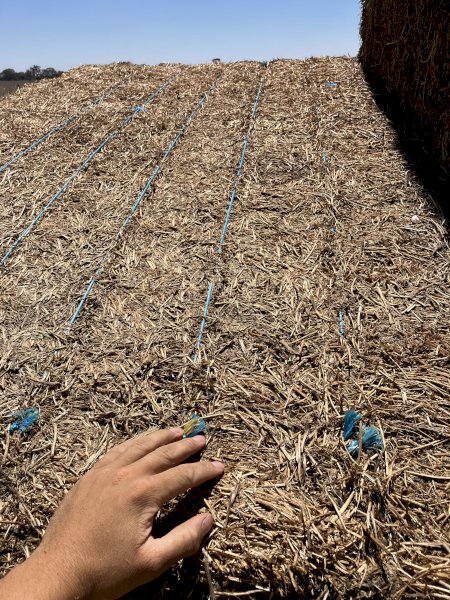 Expressions of Interest in 2 Year Old Vetch Hay