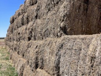 Expressions of Interest in 2 Year Old Vetch Hay