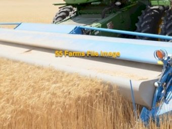 WANTED Stripper Front