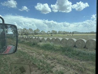 150 x Lucerne Hay 350kg Round Bales