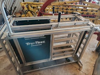 2020 Prattley 3-Way Manual Crate, Tru-Test Datamars ID 5000 Indicator & MP600 Loadbars
