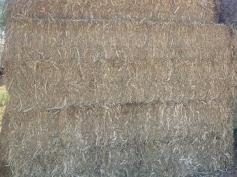 23/24 Season Vetch Hay