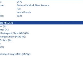 23/24 Season Vetch Hay