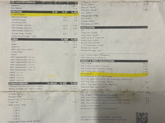 450 x Clover/Rye Grass Hay 5X4 Round Bales