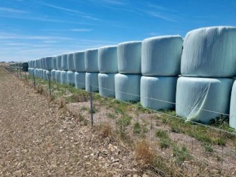 450 x Clover/Rye Grass Hay 5X4 Round Bales
