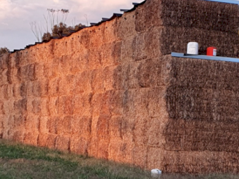 26mt Clover Hay 8x4x3 Bales