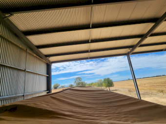 Cole Grouper 5in1 Bin Only