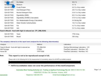 5000 x A1 Oaten Hay Small Square Bales