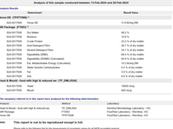 2000 x Vetch Hay Small Square Bales