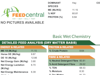 Oaten Hay Equivalent Pellets