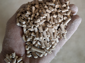 Oaten Hay Equivalent Pellets