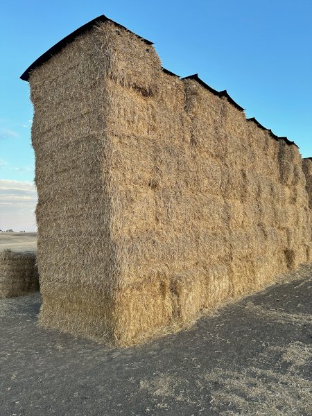 100mt Barley Straw 450kg 8x4x3 Bales