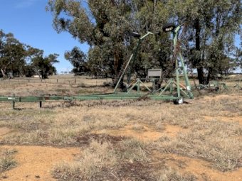 Smale Prickle Chain 50 ft