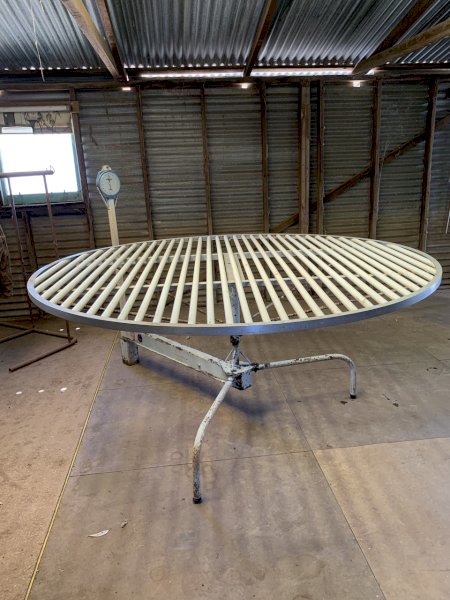 Stevlyon Wool Table with Scales