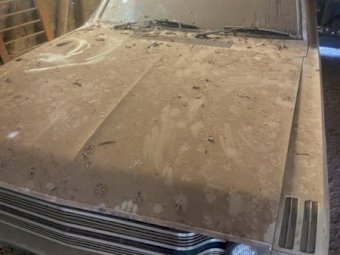1969 VF Valliant Sedan. Barn Find