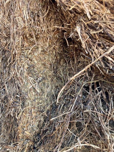 22/23 Season Clover Hay