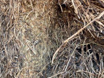 22/23 Season Clover Hay