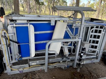 Clipex Contractor Sheep Handler