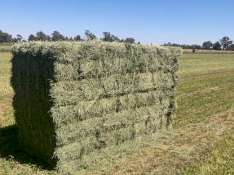 3000 x Lucerne Hay Small Squares