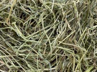 250MT Rye/Clover 8X4X3 Large Square Hay Bales