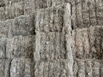 250MT Rye/Clover 8X4X3 Large Square Hay Bales