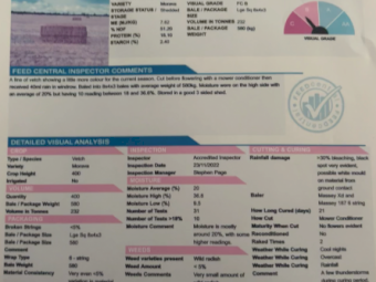 300mt Vetch Hay 600kg 8x4x3 Bales