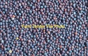 WANTED Feed Canola  Queensland