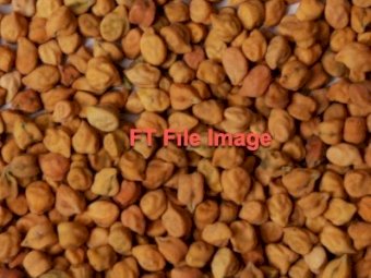 WANTED Captain Chickpeas