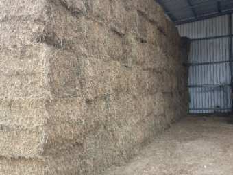 45mt Lucerne Hay 600kg 8x4x3 Bales
