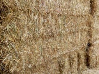 500mt Oaten Hay 600kg 8x4x3 Bales