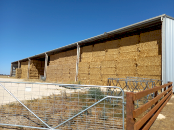 500mt Oaten Hay 600kg 8x4x3 Bales