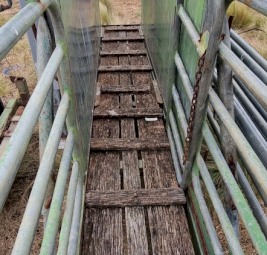 Stearn Engineering Portable Livestock Yards