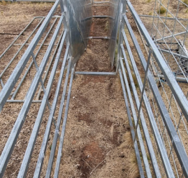 Aussie Steel Semi Portable Yards PRICE REDUCED 