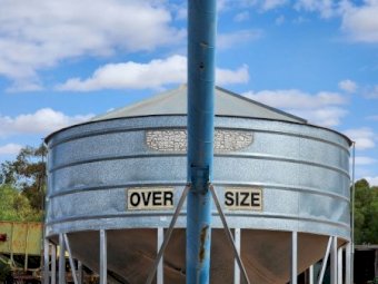 31mt Campbell Field Bin