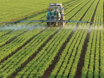 Cropstarter 15 ex Newcastle - Available Now