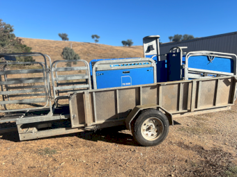 2021 Te Pari Racewell HD4 Sheep Handler