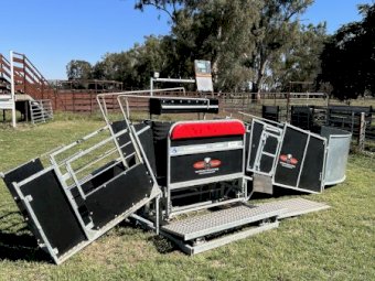 Combi Clamp - Sheep and Lamb Handler - As new Condition.