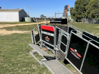 Combi Clamp - Sheep and Lamb Handler - As new Condition.