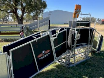 Combi Clamp - Sheep and Lamb Handler - As new Condition.