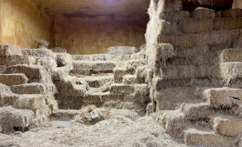 800 x  Rye & Clover Hay Small Squares