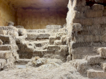 800 x  Rye & Clover Hay Small Squares