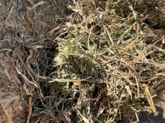 40mt Vetch Hay 650kg 8x4x3 Bales