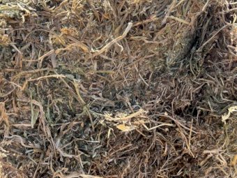 40mt Vetch Hay 650kg 8x4x3 Bales