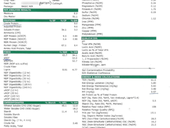 500mt Oaten Hay 600-620kg 8x4x3 Bales