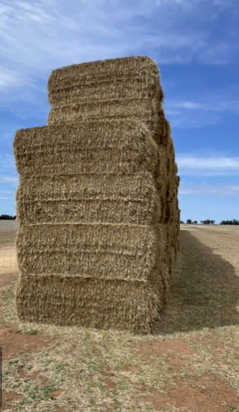 Wheat Straw Tailings 8x4x3